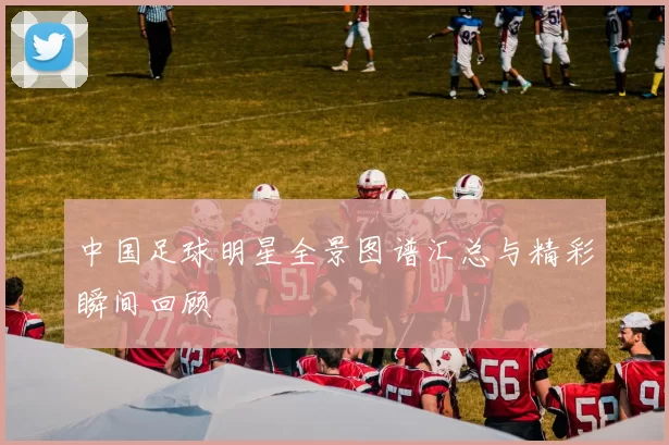 中国足球明星全景图谱汇总与精彩瞬间回顾