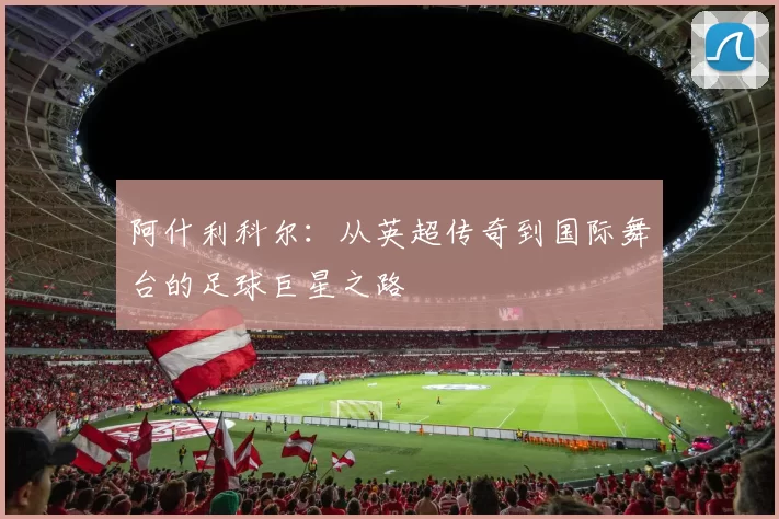 阿什利科尔：从英超传奇到国际舞台的足球巨星之路