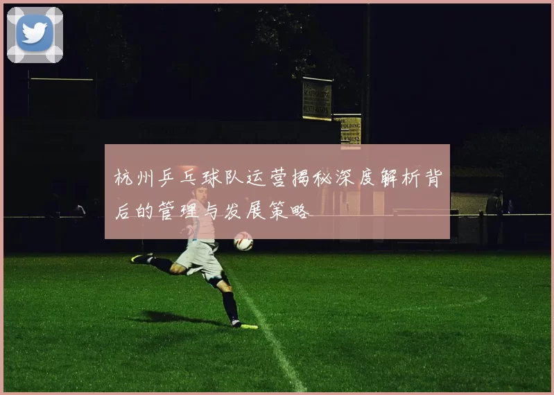 杭州乒乓球队运营揭秘深度解析背后的管理与发展策略