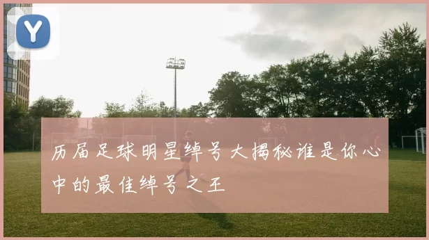 历届足球明星绰号大揭秘谁是你心中的最佳绰号之王