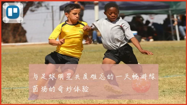 与足球明星共度难忘的一天畅游绿茵场的奇妙体验