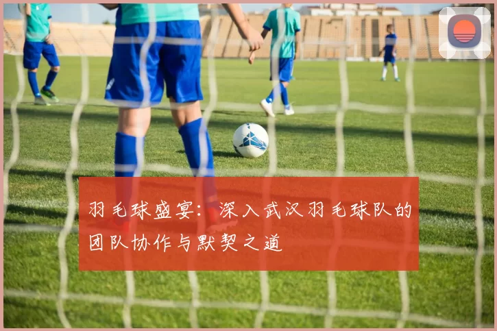 羽毛球盛宴：深入武汉羽毛球队的团队协作与默契之道