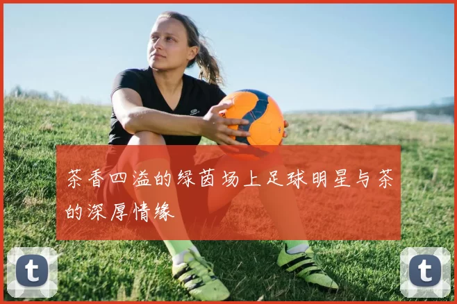 茶香四溢的绿茵场上足球明星与茶的深厚情缘