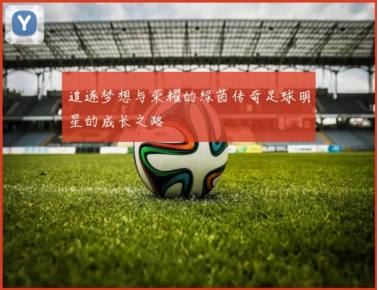 追逐梦想与荣耀的绿茵传奇足球明星的成长之路
