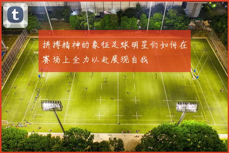拼搏精神的象征足球明星们如何在赛场上全力以赴展现自我