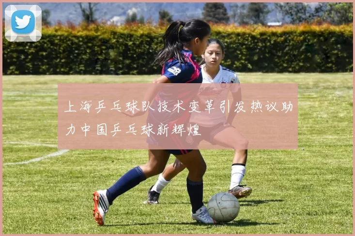 上海乒乓球队技术变革引发热议助力中国乒乓球新辉煌