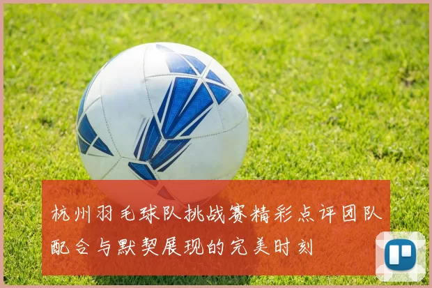 杭州羽毛球队挑战赛精彩点评团队配合与默契展现的完美时刻