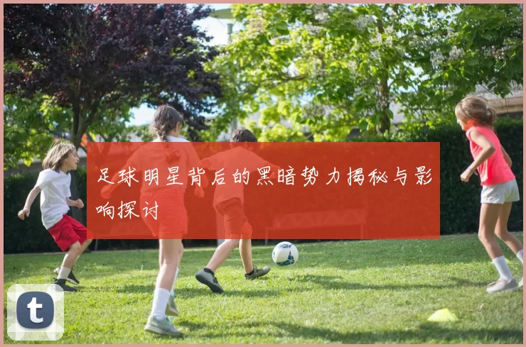 足球明星背后的黑暗势力揭秘与影响探讨