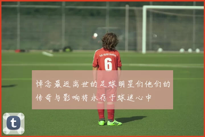 悼念最近离世的足球明星们他们的传奇与影响将永存于球迷心中