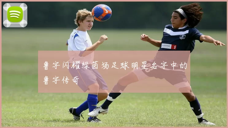 鲁字闪耀绿茵场足球明星名字中的鲁字传奇