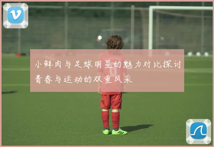 小鲜肉与足球明星的魅力对比探讨青春与运动的双重风采