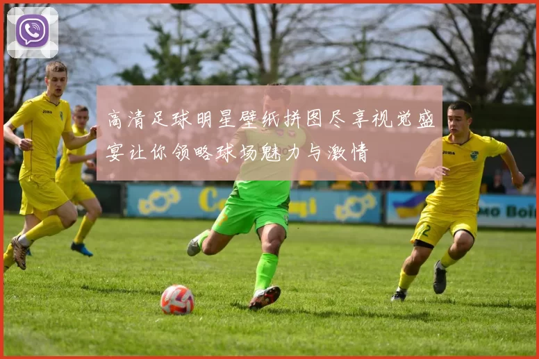 高清足球明星壁纸拼图尽享视觉盛宴让你领略球场魅力与激情